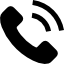 Phone icon